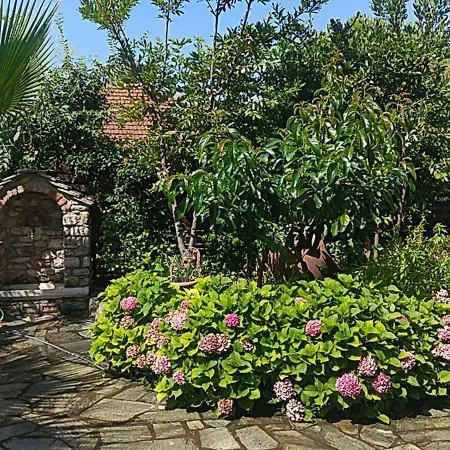 Archontiko Tsaknaki Manolia ゲストハウス Áno Lekhónia