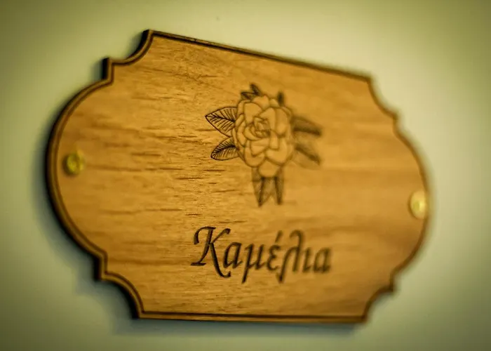 Archontiko Tsaknaki Manolia Guest house 4*